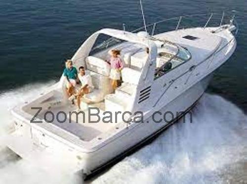 Sea Ray 330 Express Cruiser scheda tecnica 